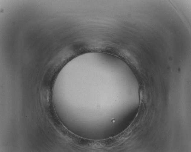 X0000062850115200601201713