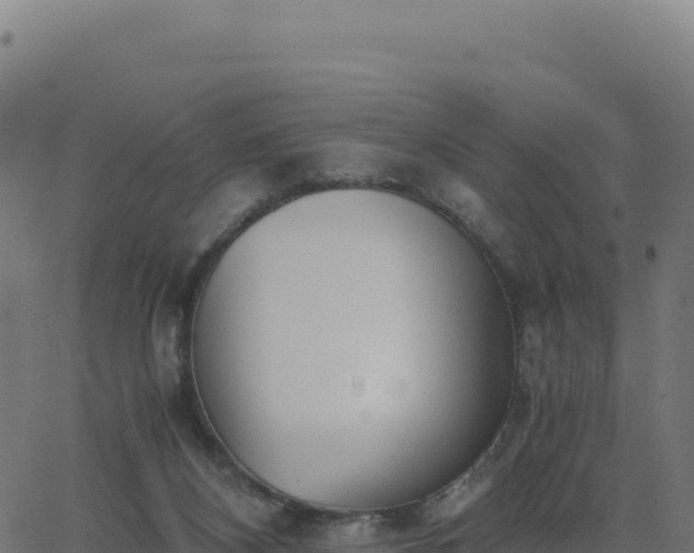 X0000062850116200601201713