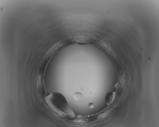 X0000062850117200601201713