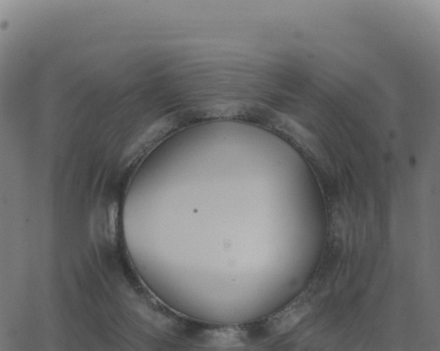 X0000062850118200601201713