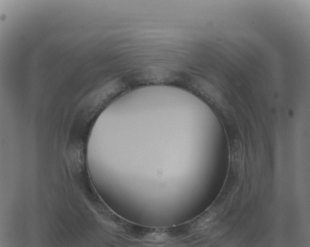 X0000062850119200601201713