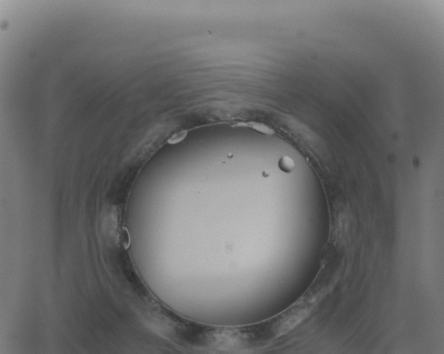 X0000062850121200601201713