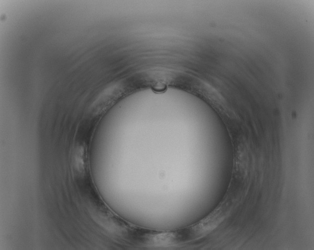 X0000062850122200601201713