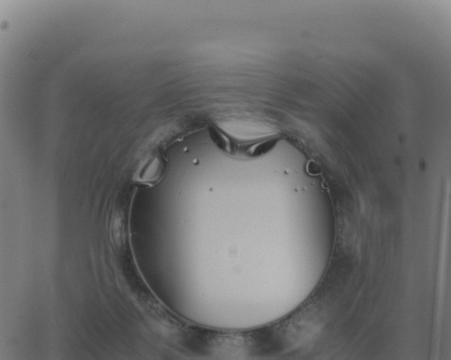 X0000062850123200601201713