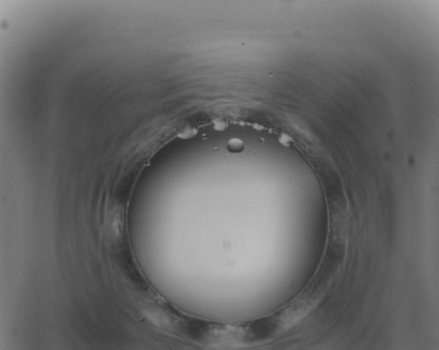 X0000062850125200601201713