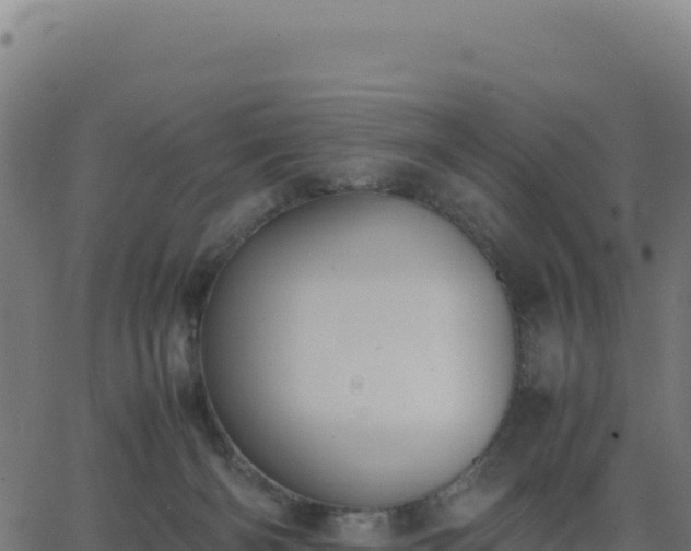 X0000062850126200601201713