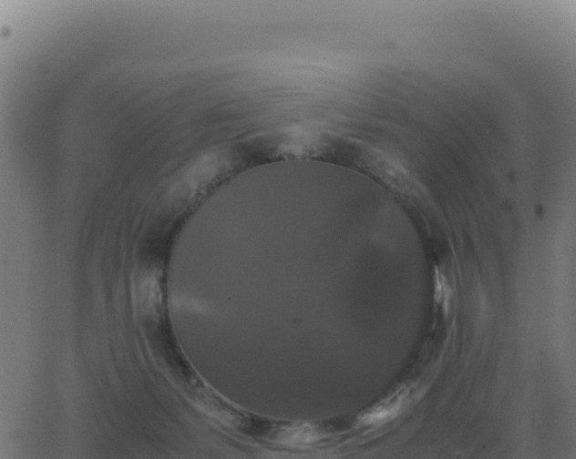 X0000062850127200601201713