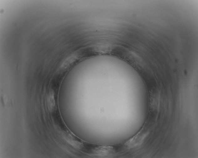 X0000062850128200601201713