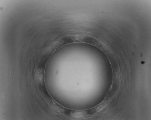 X0000062850129200601201713