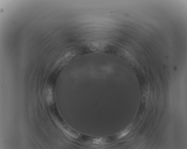 X0000062850130200601201713