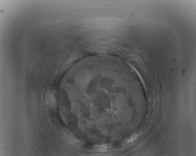 X0000062850131200601201713