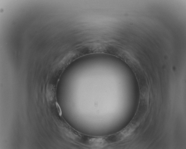 X0000062850133200601201713