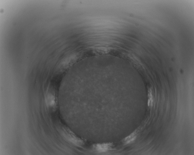 X0000062850134200601201713