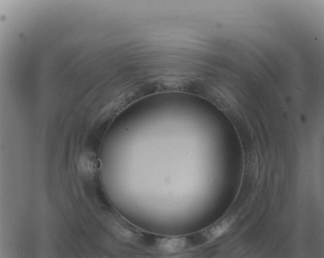 X0000062850135200601201713