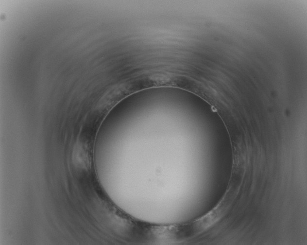 X0000062850136200601201713