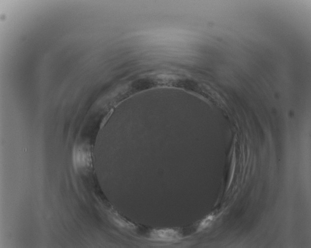 X0000062850137200601201713