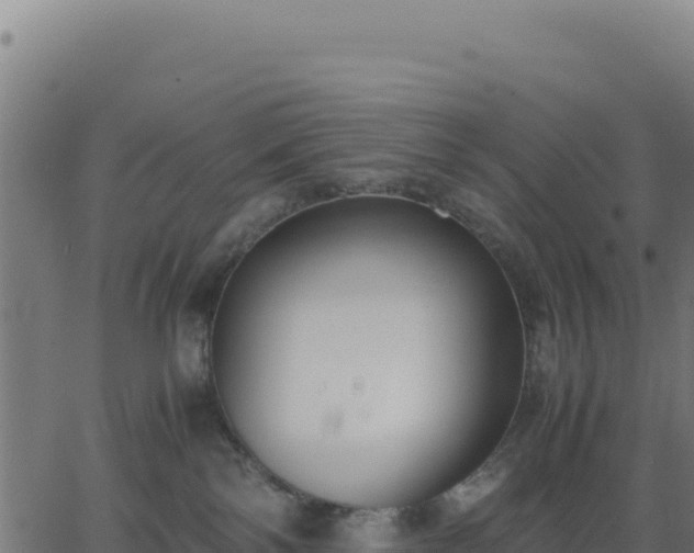 X0000062850138200601201713