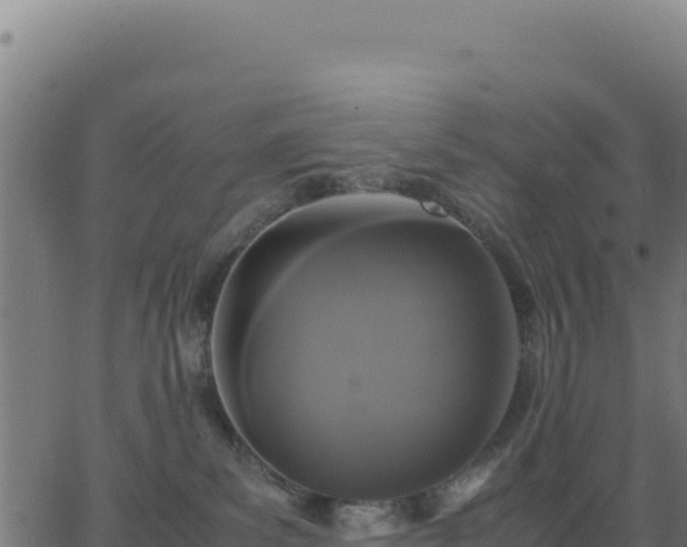 X0000062850139200601201713