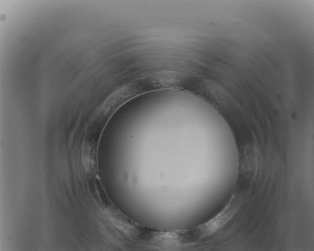 X0000062850140200601201713