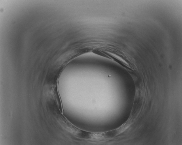 X0000062850141200601201713