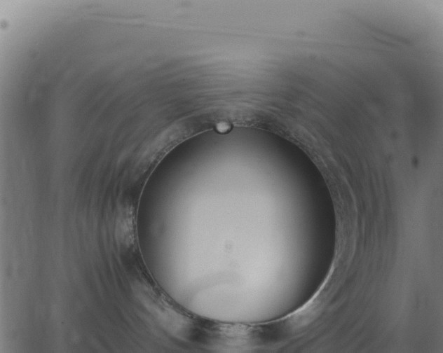 X0000062850144200601201713