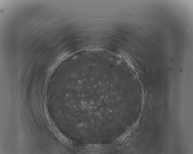 X0000062850145200601201712