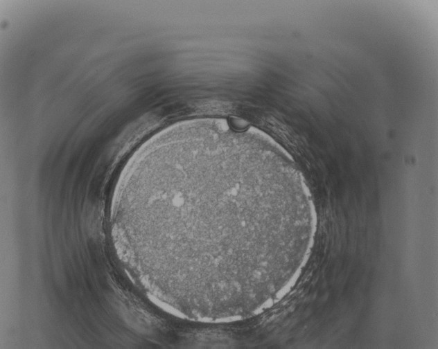 X0000062850146200601201712