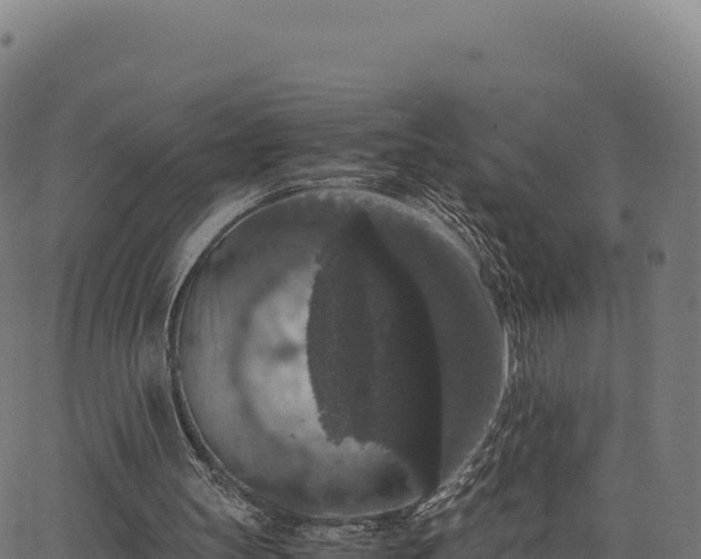 X0000062850147200601201712