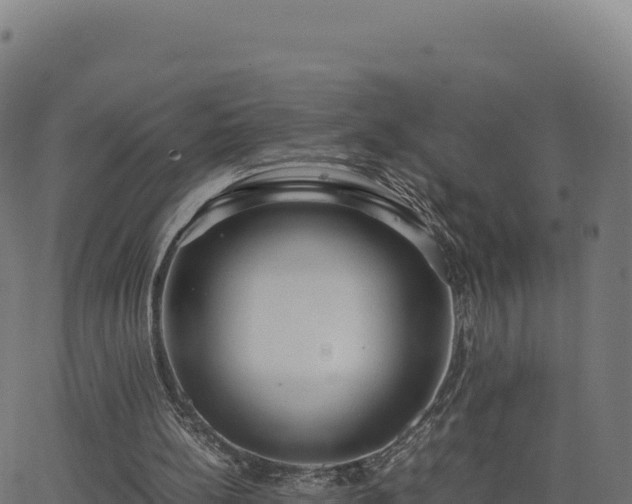 X0000062850148200601201712