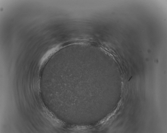 X0000062850149200601201712