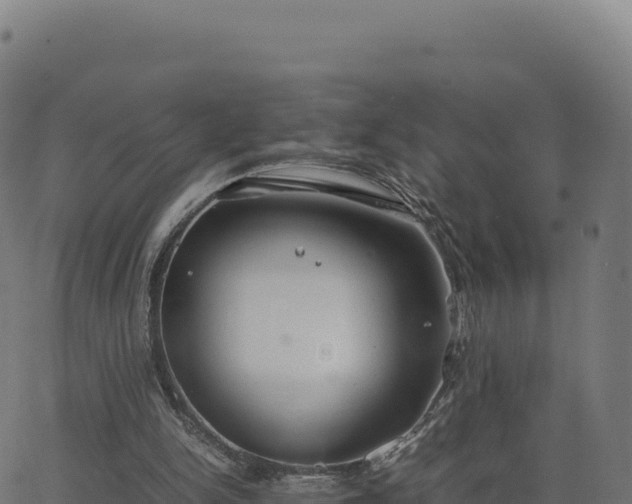 X0000062850150200601201712