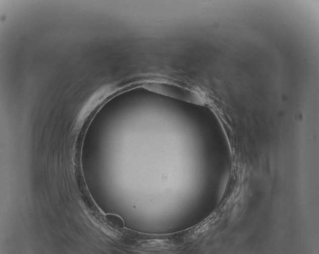 X0000062850151200601201712