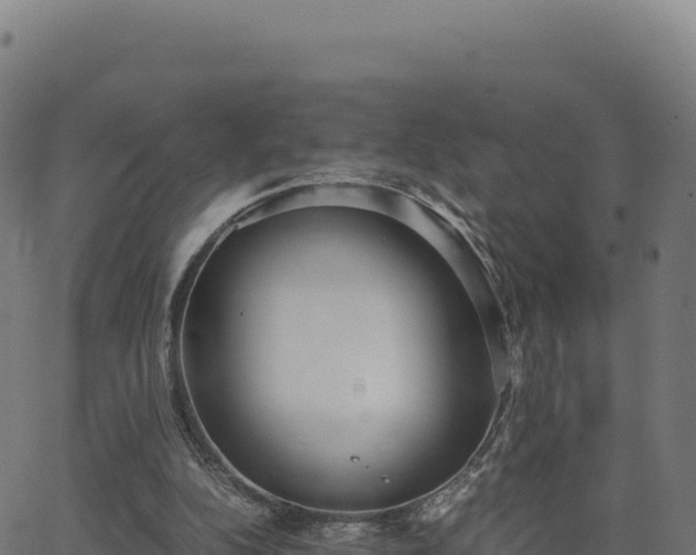 X0000062850152200601201712