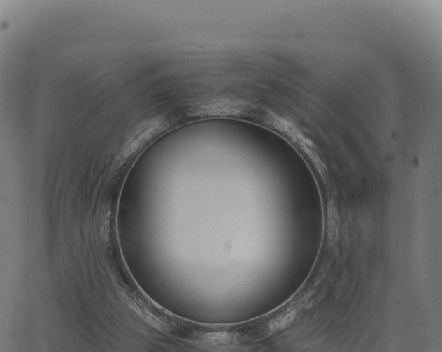 X0000062850153200601201712