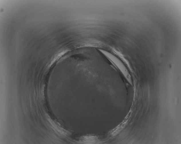 X0000062850154200601201712