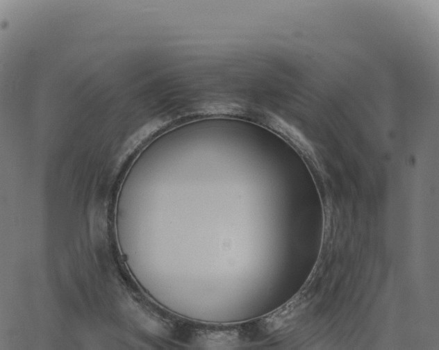 X0000062850155200601201712