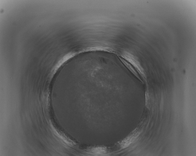 X0000062850156200601201712