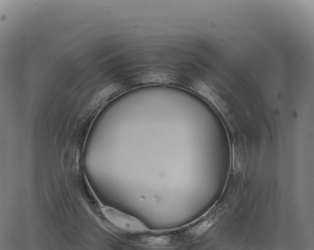 X0000062850157200601201712