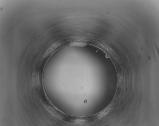 X0000062850158200601201712