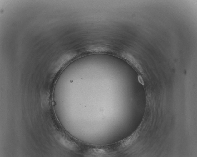 X0000062850159200601201712