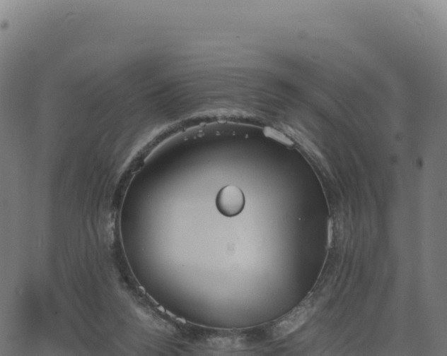 X0000062850160200601201712