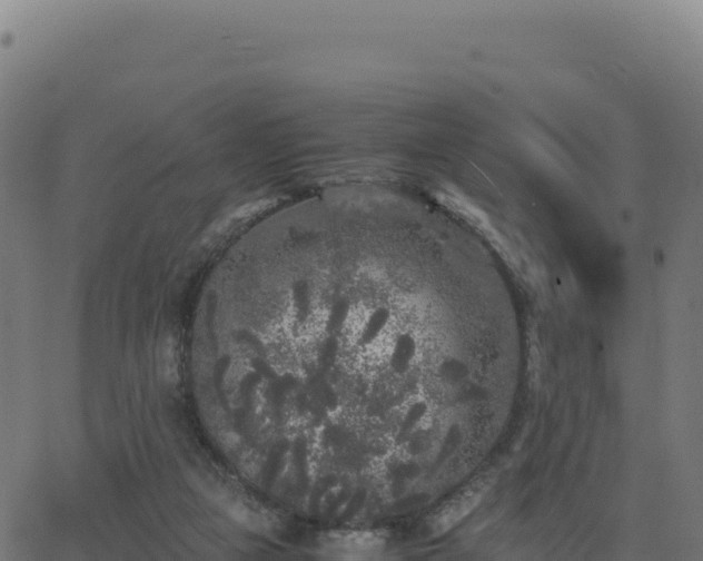 X0000062850161200601201712