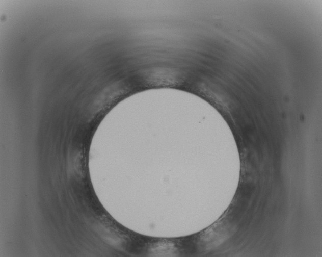 X0000062850162200601201712