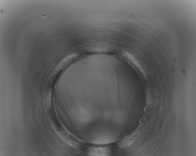 X0000062850163200601201712