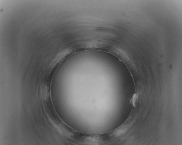 X0000062850164200601201712