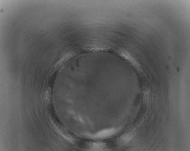 X0000062850165200601201712