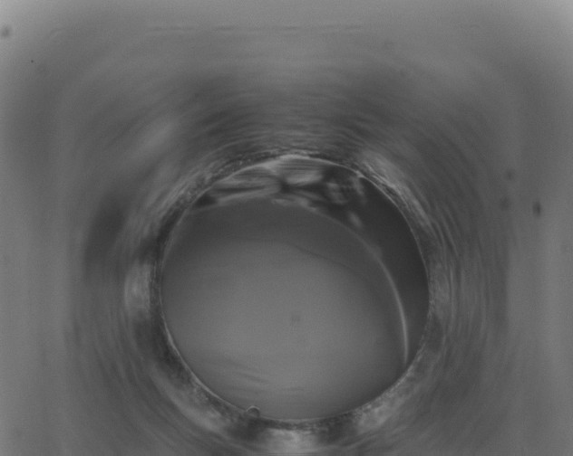 X0000062850167200601201712