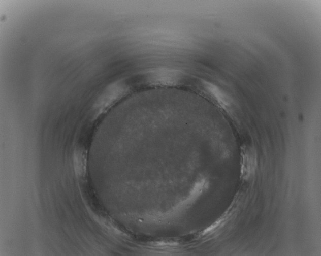 X0000062850168200601201712