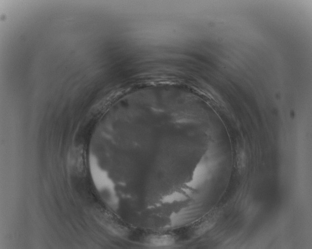 X0000062850169200601201712