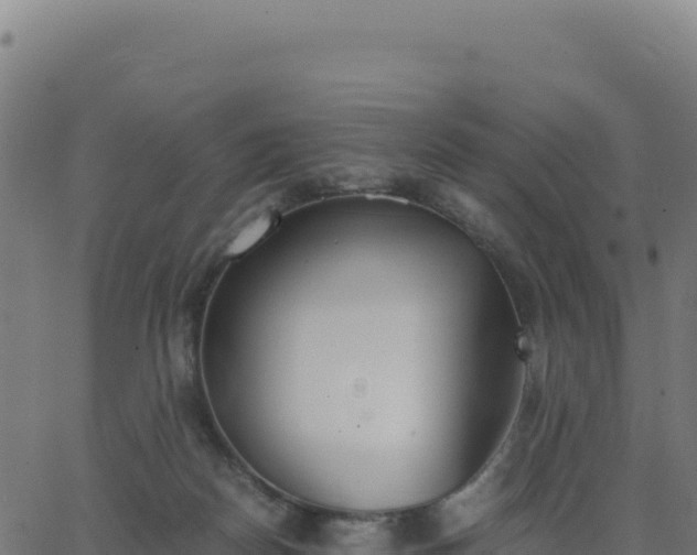 X0000062850170200601201712